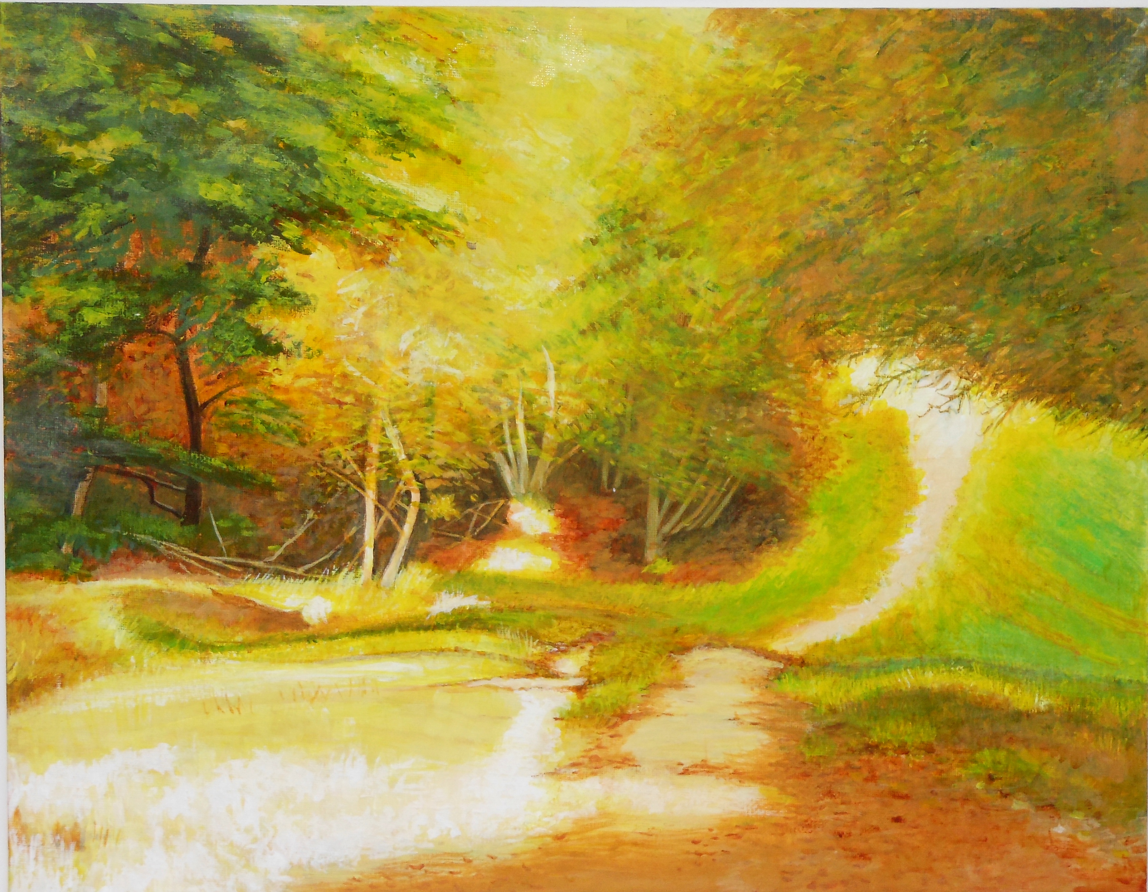 Blog/Autumn 2020 Blog Pic 1
